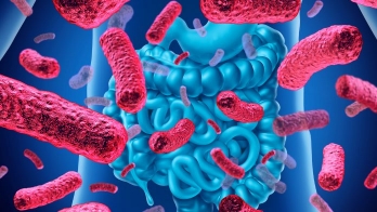 gut-microbiome v2
